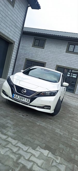 ����������� ����, �� �������. Nissan Leaf 2018 ����