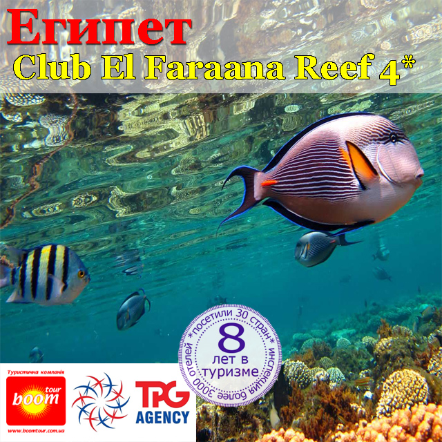 ����� �� ������� ����.������ - ���� ��� ����