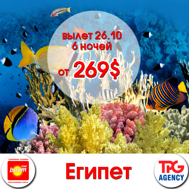 ������ - ������ ����������� ���.�� 269$ 1/2 DBL6 �����/7 ����26