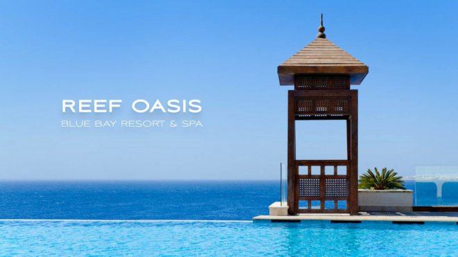       Reef Oasis Blue Bay 5* -      24/04  7  1012$  .