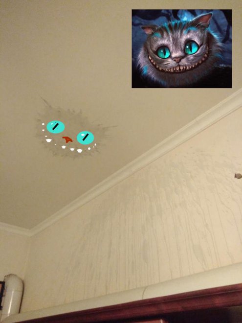   .   , ,  