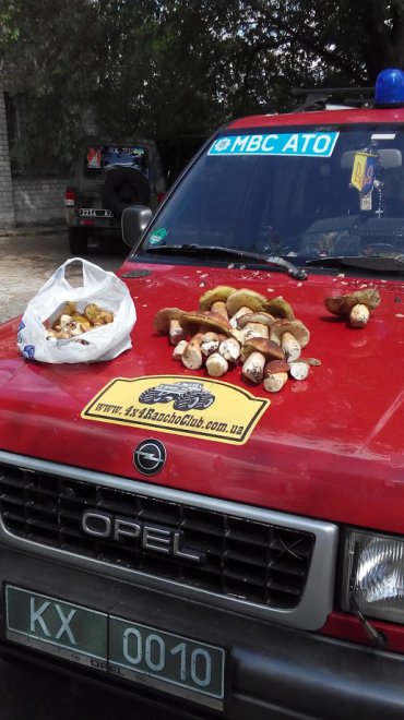 ��� ���� ������ ,������ ��� � ��� ����.��������� ��� �� � �� ��������, �