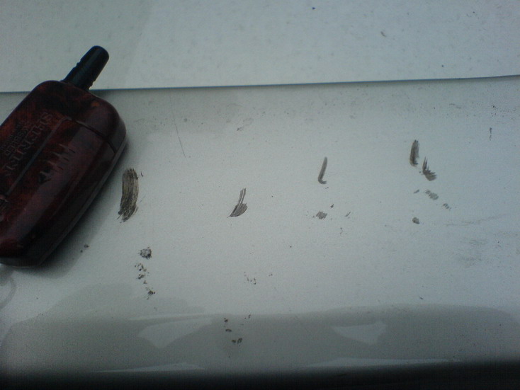 ���� �2 - �������