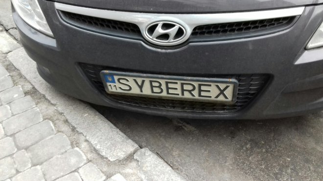 SYBEREX