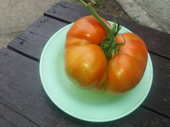 ��.900���� ��� ���������