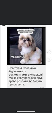 ������ ���������� ����� - ������� ���������