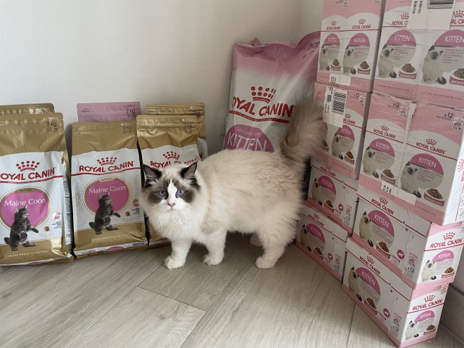 � �������� ���� ���� � Royal Canin Ukraine - ���� ����� � � ������� ������. ������������ �������� ��� � �� ������� ������� ������ ������� ��������� � �������� ������� ��