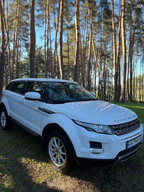 ����������:
