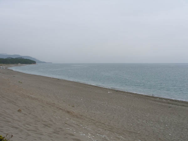 2   -  