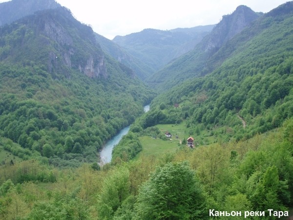 ������ ����