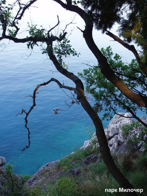 ��������� � ������-����, �� �������� �� ������� � �������� -  4 ��. ����� ������ ����, �����������, ���������� � ��������� � ����� ����