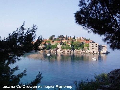 ���� �������