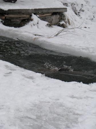 � �������.