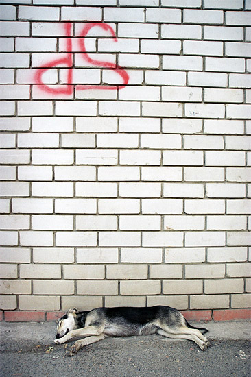 ,          ,    .    ,    ,  -  