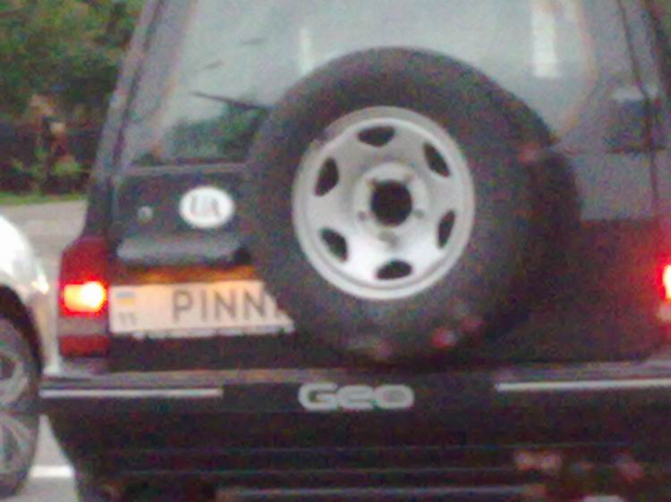 PINNI   .+  ,    (,  9-     )