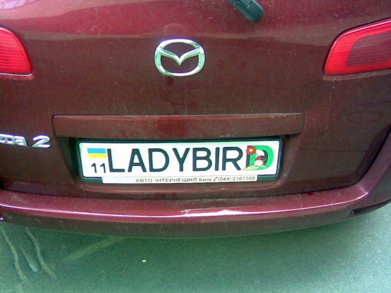   . LADYBIRD