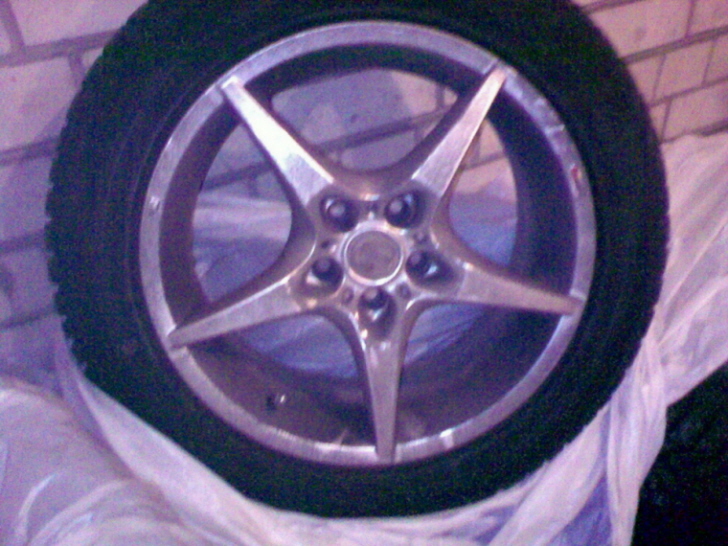     Dunlop Winter Sport m3, 205/55 R16,  5-   MAC. 80509739084, 