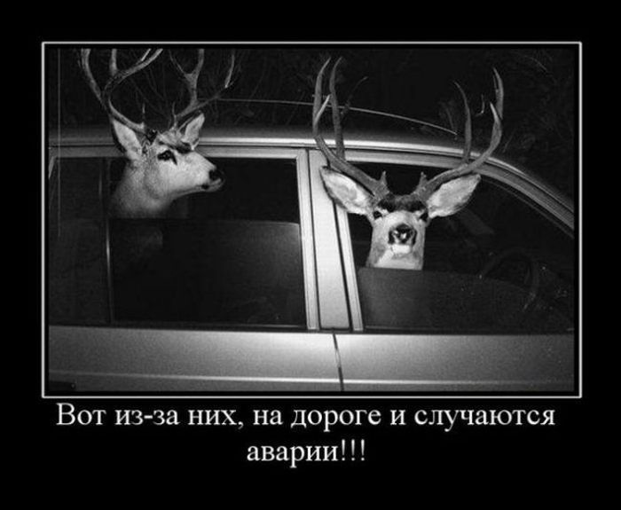 ))