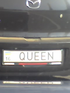 Queen16 