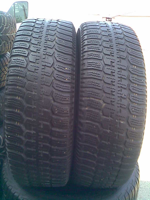     Ceat-Artic-2 195/65R15 M+S 91T    500   .0936473091