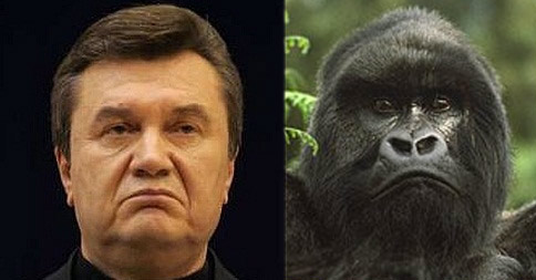 ��� ���� - ������ ������ � �����������. 