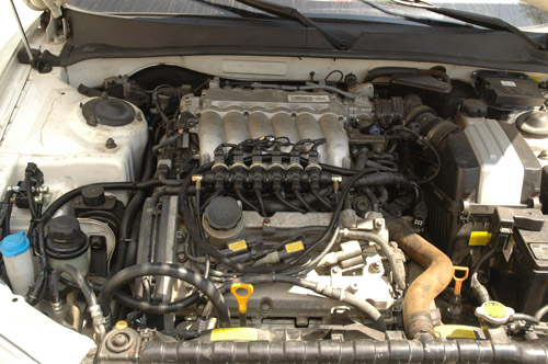     "        4-   ,   5-  "    .