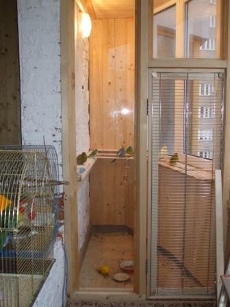 Budgie Cage