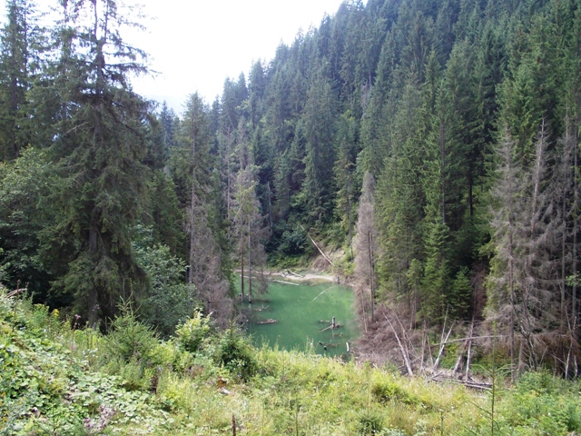       .       2008 