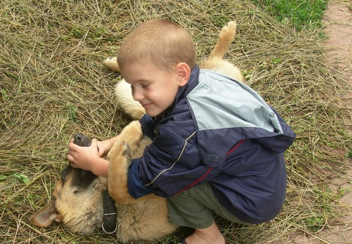 � �������� �� �����.