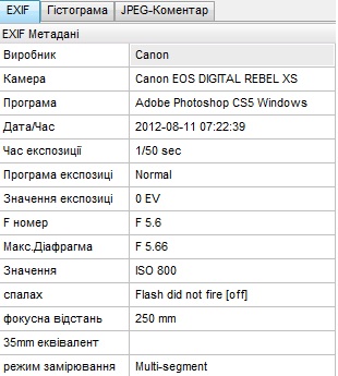 Canon 1000D + Canon 55-250 IS II