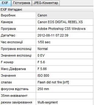 Canon 1000D + Canon 55-250 IS II