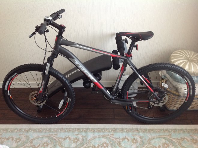   ,     31 ,       ,         .  ,       