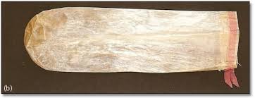 � ������� ���� ����� �� ��������������