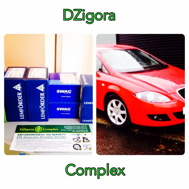  .      DZigora Complex   