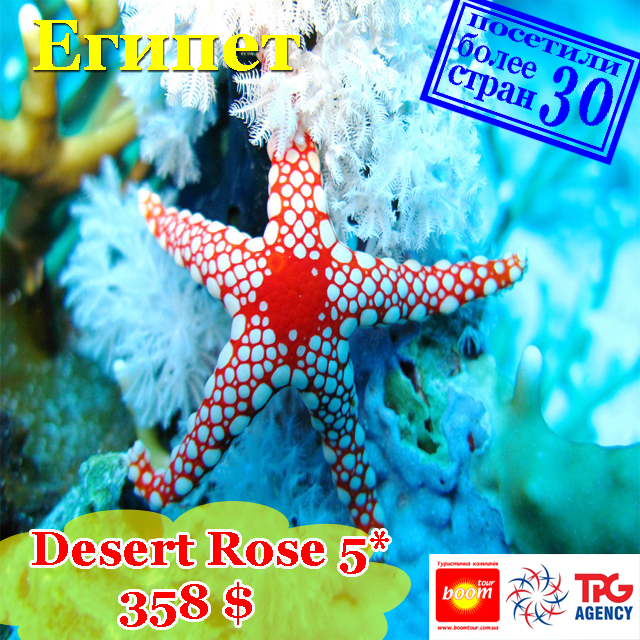   .Desert Rose 5* 358 $ 1/2 Dbl   20