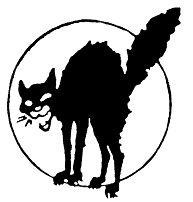 Black Cat