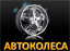 avtokolesa77