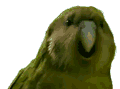 alex_azlk