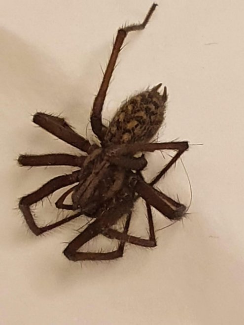 ���������� ��� ��������� �� ������.���� �� ������ (�� �������� - ��������) ����� �� ����� ������� �����, �