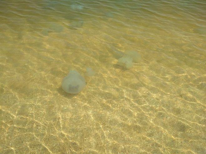 ��������: �������� � �������� �������� � ������� ���, �� "����� ������������ �� �����", �� "�� ��� � ����". ������ �� 2 �����- ����� ��������� � ���������� � � ����������� ���������