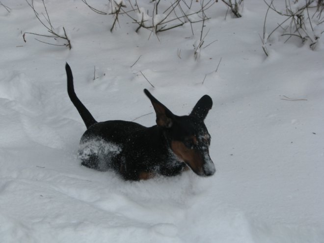 ������� �� �������. �� ���� ������