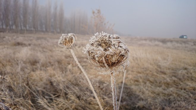  13-14.  2  2014          -       King Cross Leopolis     ( -,   ,   )       