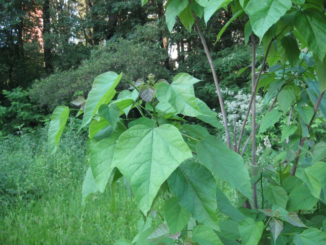 � ���, ���������, ��� �������� �������� ���� ���� � ����������� ������.��: ������� ���� ������� ������ �� ������ ��������, ��������� � ��� ����� ���� ������� � ������ ������, ���� ����� ��������