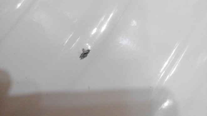 ��������� ������������ - ��������� ������ � �������. ������ ������� ���� � ���� ��������