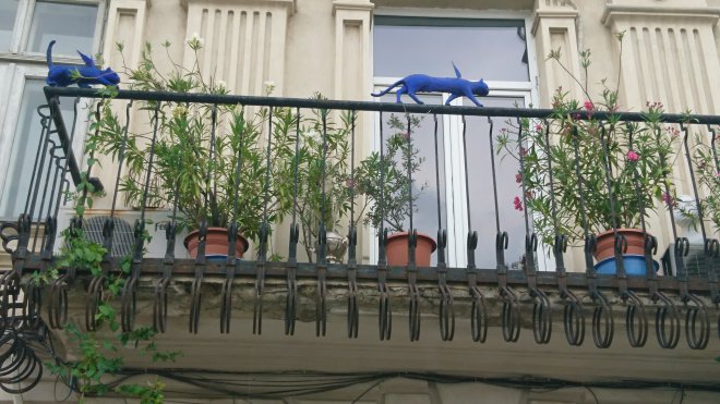 � ���������� ������� ����� �������� ����� ������ ���� ����