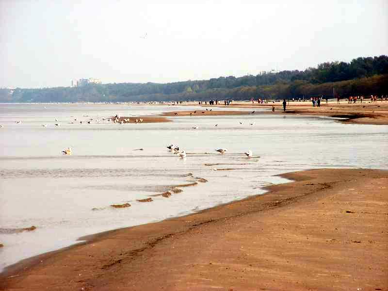 �� ��������� ���� �� ������ �������� � ������. �������� �����