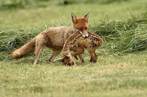 ��, �������� ���������� ������ ���� ��������, ������ ������� ������� � ������  ���� � ������� � ������� ���������������� ����� ���� �� ������ ��� ������� � �������.���� ���� ������������� ����� ���������� �����, ����� ���������� �������� ������ ��� ���� �������� ����������� ��������