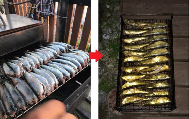 �� �����.������ �� ��������
