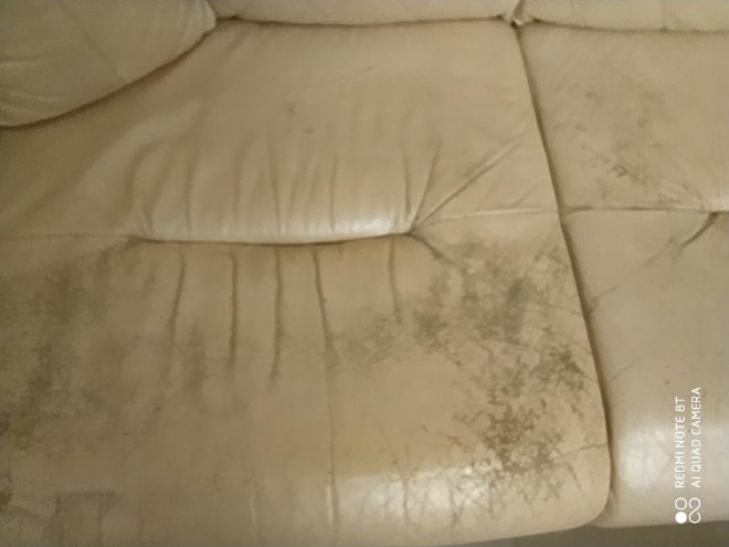 �� ���� ��������.������ �����������