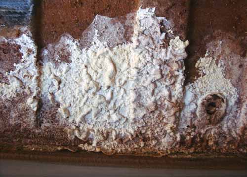 ������ ��� �����. ������ � ������� � ������, �� ������������ ������� ���� �� ���� � ���� �� ������-������� ��� ���� ����� ������� � ������� ������ � ��� �� ������� �� �������